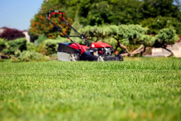 Lawn Care