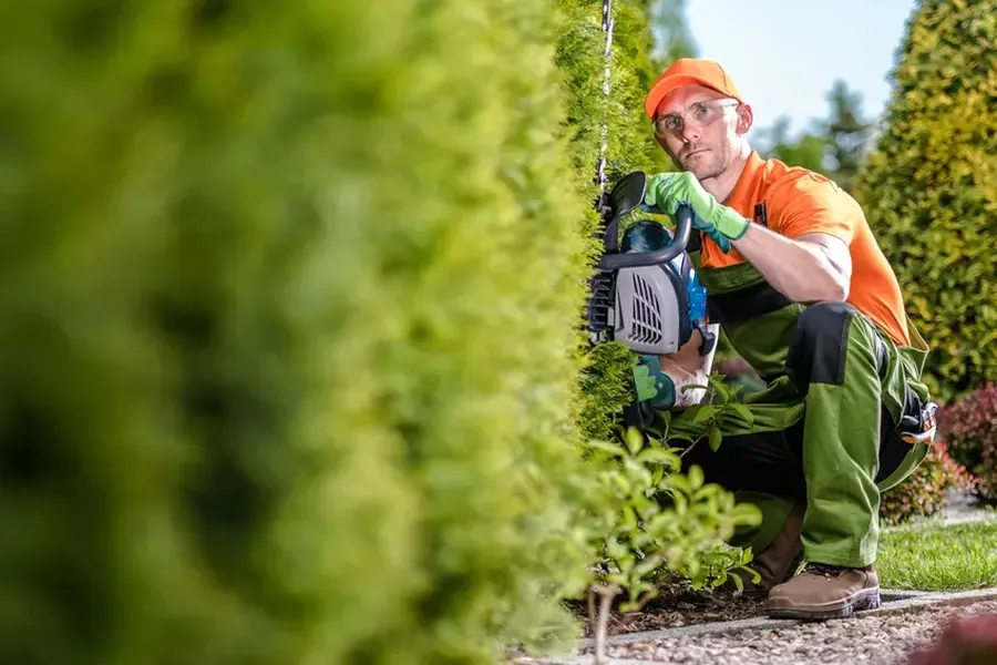 Affordable Hedge Trimming Clermont, IA