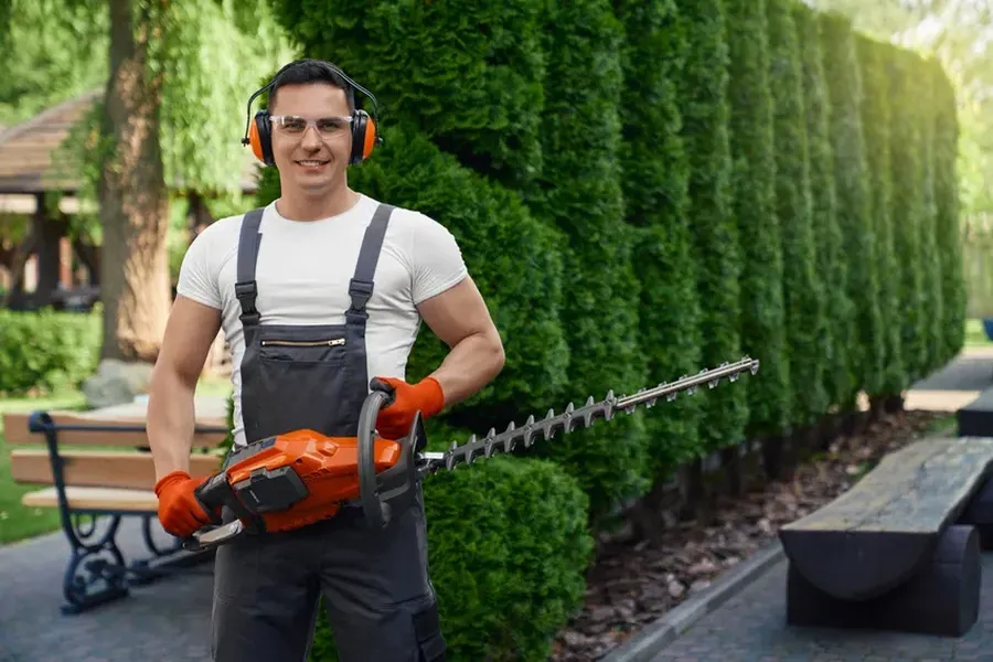 Common Hedge Trimming Mistakes And How To Avoid Them Clermont, IA