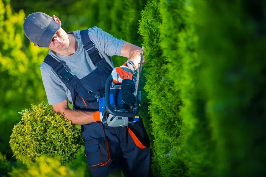 Common Hedge Trimming Mistakes And How To Avoid Them in Clermont, IA