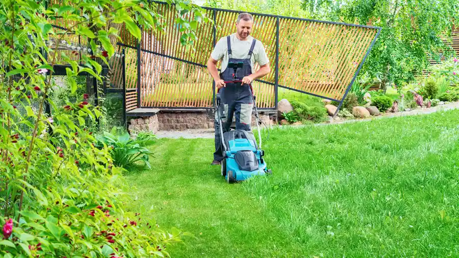 Excellent Lawn Mowing Clermont, IA
