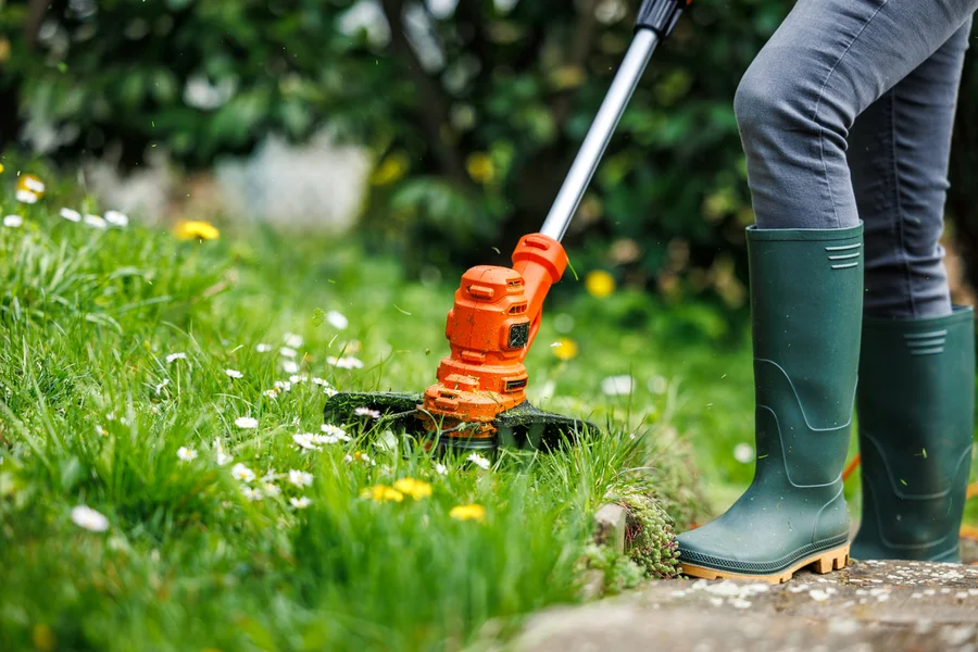Experienced Lawn Care Clermont, IA