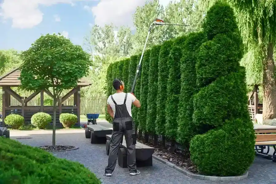 Expert Hedge Trimming Clermont, IA