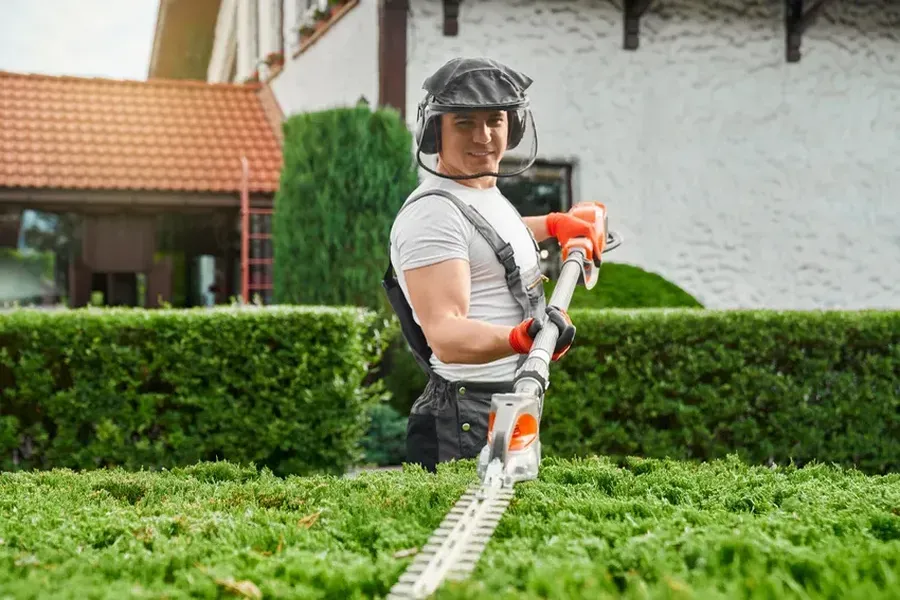 How Proper Hedge Trimming Prevents Pest Infestations in Clermont, IA