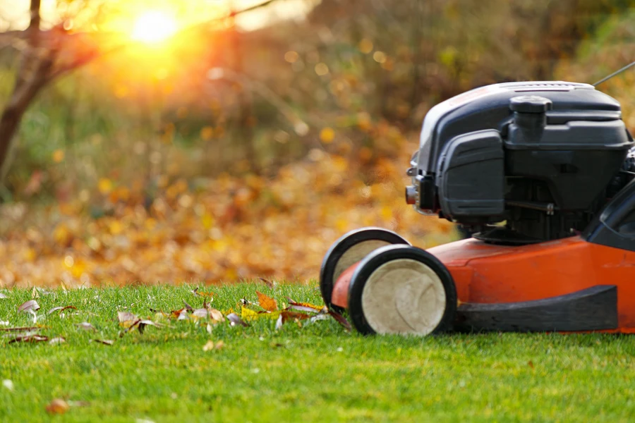 Lawn Care Tools Every Professional Landscaper Needs in Clermont, IA