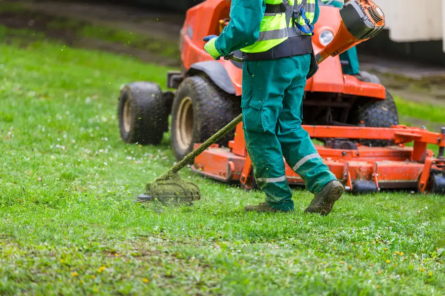 Premium Lawn Mowing Clermont, IA