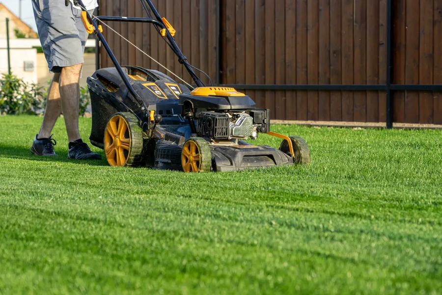 Preparing Your Lawn For Mowing During Extreme Weather Clermont, IA