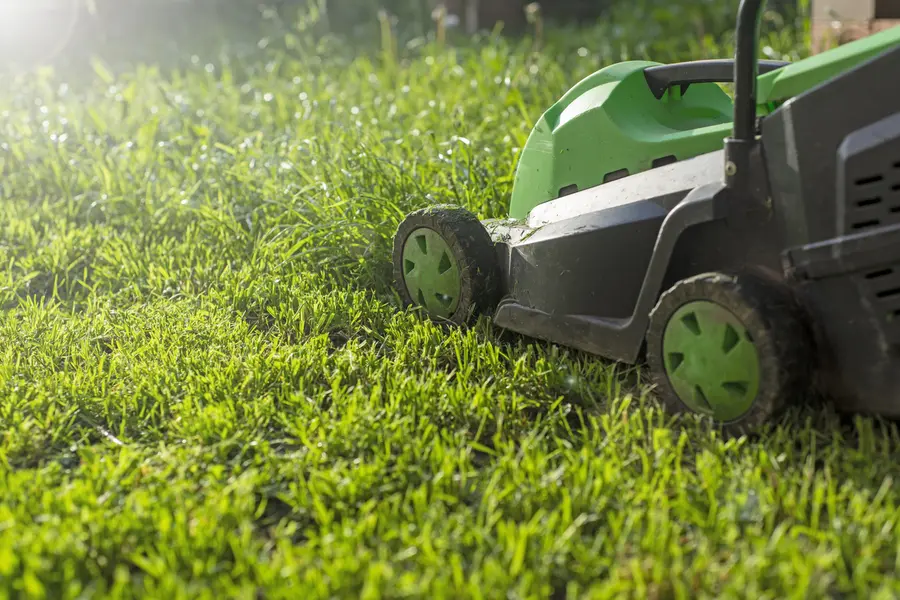 Preparing Your Lawn For Mowing During Extreme Weather in Clermont, IA