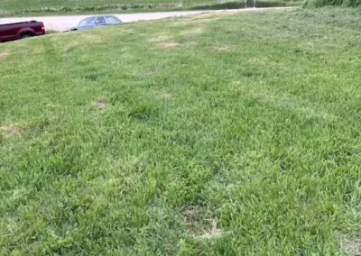Quality Hedge Trimming