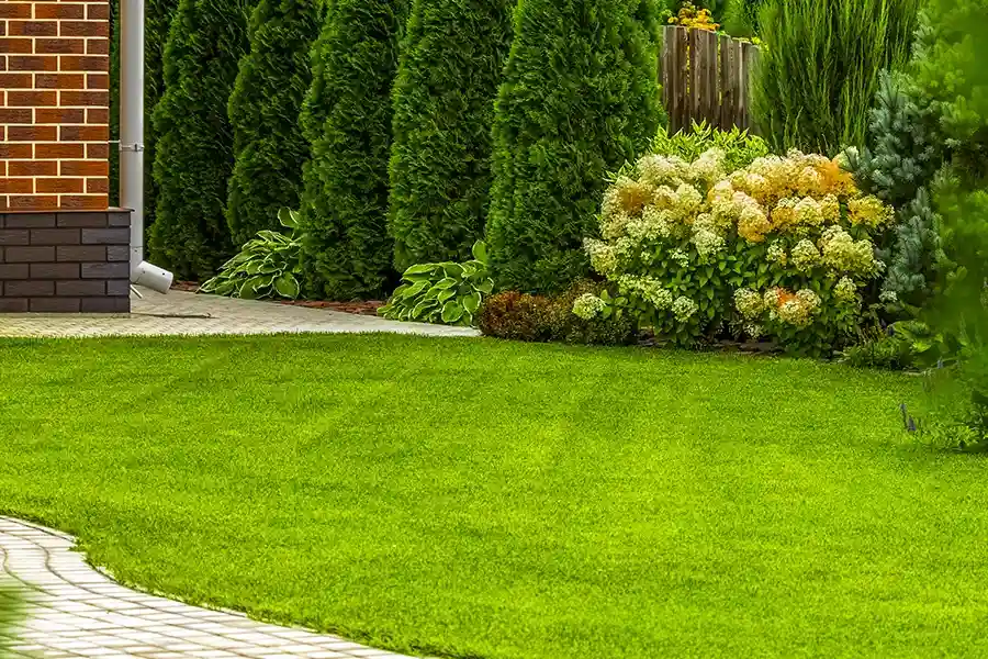 Quality Lawn Care Clermont, IA
