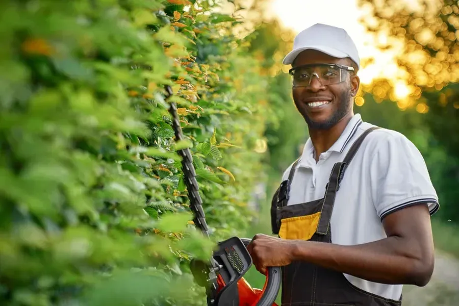 Reputable Hedge Trimming Clermont, IA