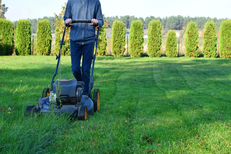 Seasonal Considerations For Effective Lawn Mowing Clermont, IA