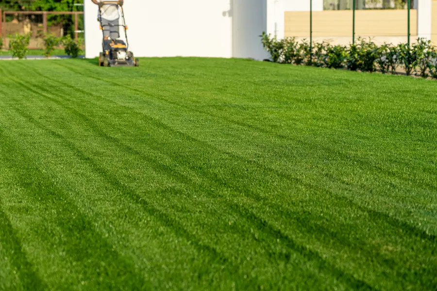 Seasonal Considerations For Effective Lawn Mowing in Clermont, IA
