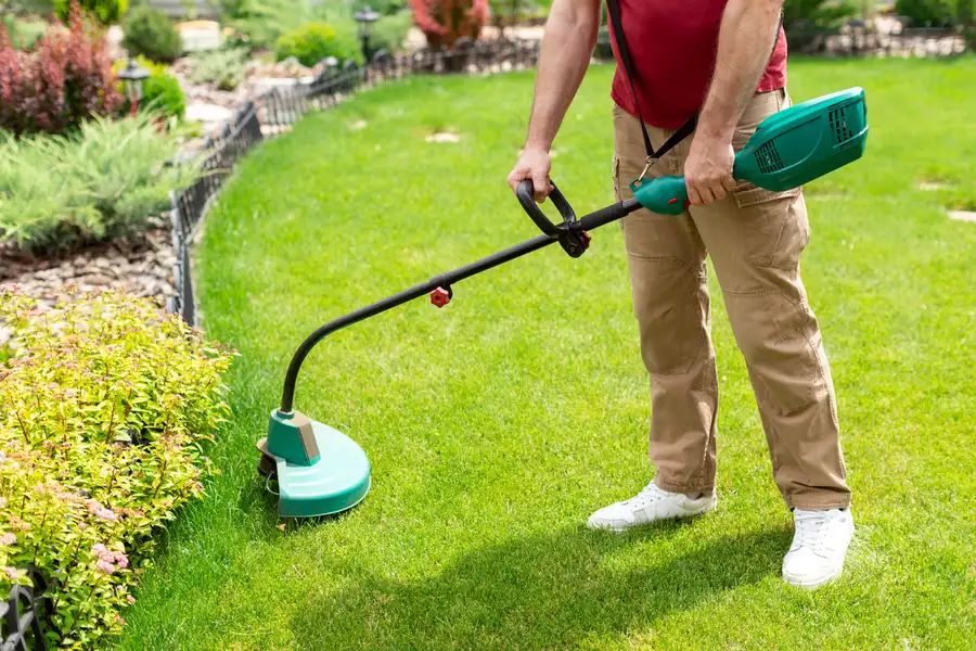 Superior Lawn Care Clermont, IA