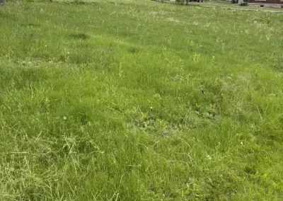 Top Lawn Care