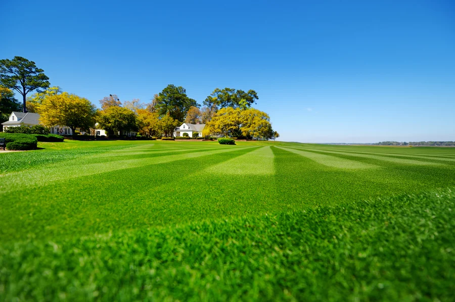 Top Lawn Care Trends Shaping The Landscaping Industry in Clermont, IA
